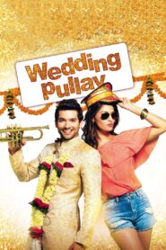 Wedding Pullav 2015 on netflix