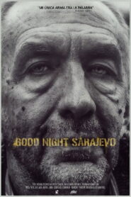 Good Night Sarajevo 2014 on netflix