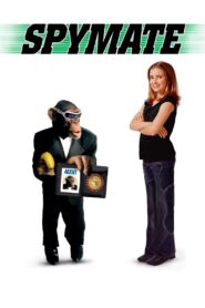 Spymate 2006 on netflix