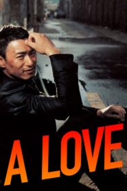 A Love 2007 on netflix