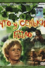 What Senka Said 1984 on netflix