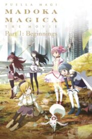 Puella Magi Madoka Magica the Movie Part I: Beginnings 2012 on netflix