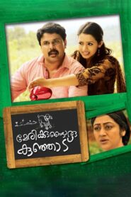Marykkundoru Kunjaadu 2010 on netflix