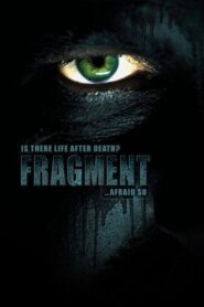 Fragment 2009 on netflix