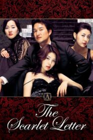 The Scarlet Letter 2004 on netflix
