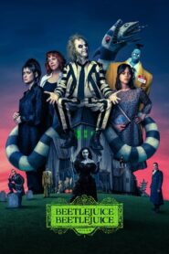 Beetlejuice Beetlejuice 2024 on netflix