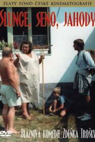 Sun, Hay, Berries 1984 on netflix