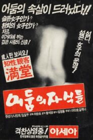 Children Of Darkness Part 1, Young-ae the Songstress 1981 on netflix