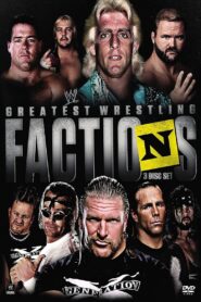 WWE Greatest Wrestling Factions 2014 on netflix