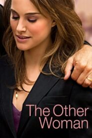 The Other Woman 2010 on netflix