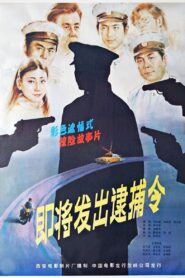 即将发出的逮捕令 1984 on netflix