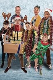 Secret Life of Boys: Farther Christmas 2017 on netflix