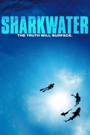 Sharkwater 2006 on netflix