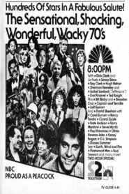 The Sensational Shocking Wonderful Wacky 70’s 1980 on netflix