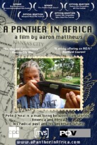 A Panther in Africa 2004 on netflix