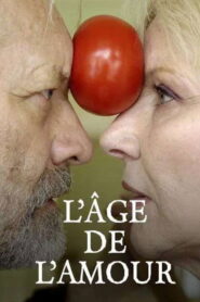 L’âge de l’amour 2007 on netflix
