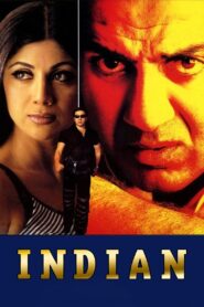 Indian 2001 on netflix