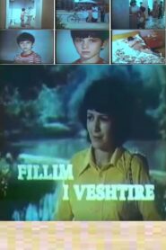 Difficult Beginning 1986 on netflix