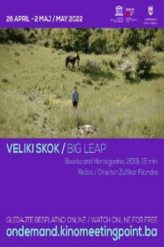 Big Leap 2019 on netflix