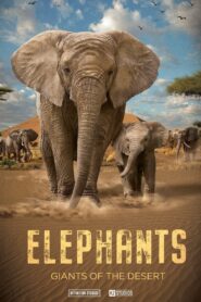 Elephants: Giants of the Desert 2024 on netflix