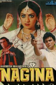 Nagina 1986 on netflix