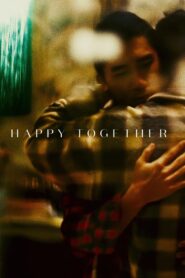 Happy Together 1997 on netflix