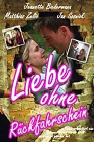 Liebe ohne Rückfahrschein 2004 on netflix