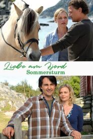 Sommersturm 2010 on netflix