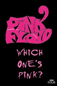 The Pink Floyd Story: Which One’s Pink? 2007 on netflix
