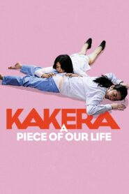 Kakera: A Piece of Our Life 2009 on netflix