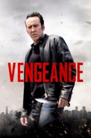 Vengeance: A Love Story 2017 on netflix