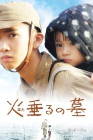 Tombstone of the Fireflies 2008 on netflix