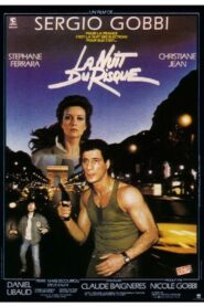 La nuit du risque 1986 on netflix