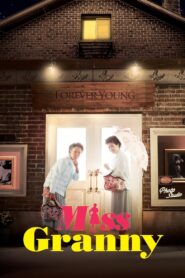 Miss Granny 2014 on netflix