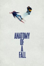 Anatomy of a Fall 2023 on netflix