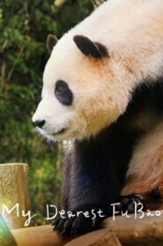 My Dearest Fu Bao 2024 on netflix