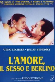 Love at First Sight 1991 on netflix