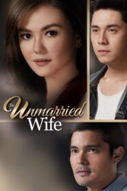 The Unmarried Wife 2016 on netflix