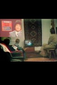 Local TV News Analysis 1980 on netflix