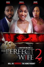 The Perfect Wife 2 2022 on netflix