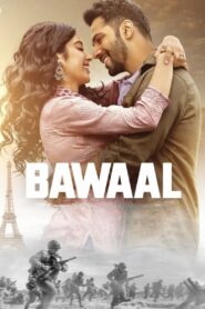 Bawaal 2023 on netflix