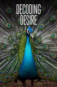 Decoding Desire 2014 on netflix