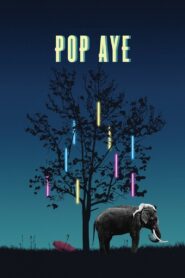 Pop Aye 2017 on netflix
