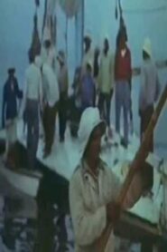 The People and The Lake 1981 on netflix