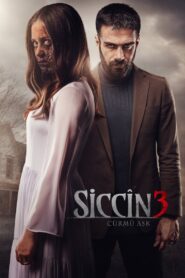 Sijjin 3: The Forbidden Love 2016 on netflix