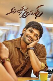 Alludu Adhurs 2021 on netflix