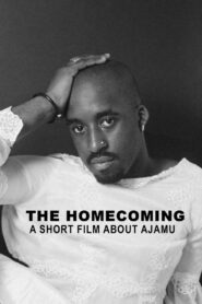 The Homecoming: A Short Film About Ajamu 1996 on netflix