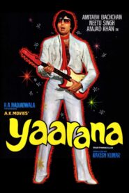 Yaarana 1981 on netflix
