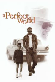 A Perfect World 1993 on netflix