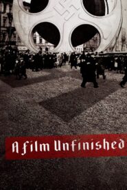 A Film Unfinished 2010 on netflix